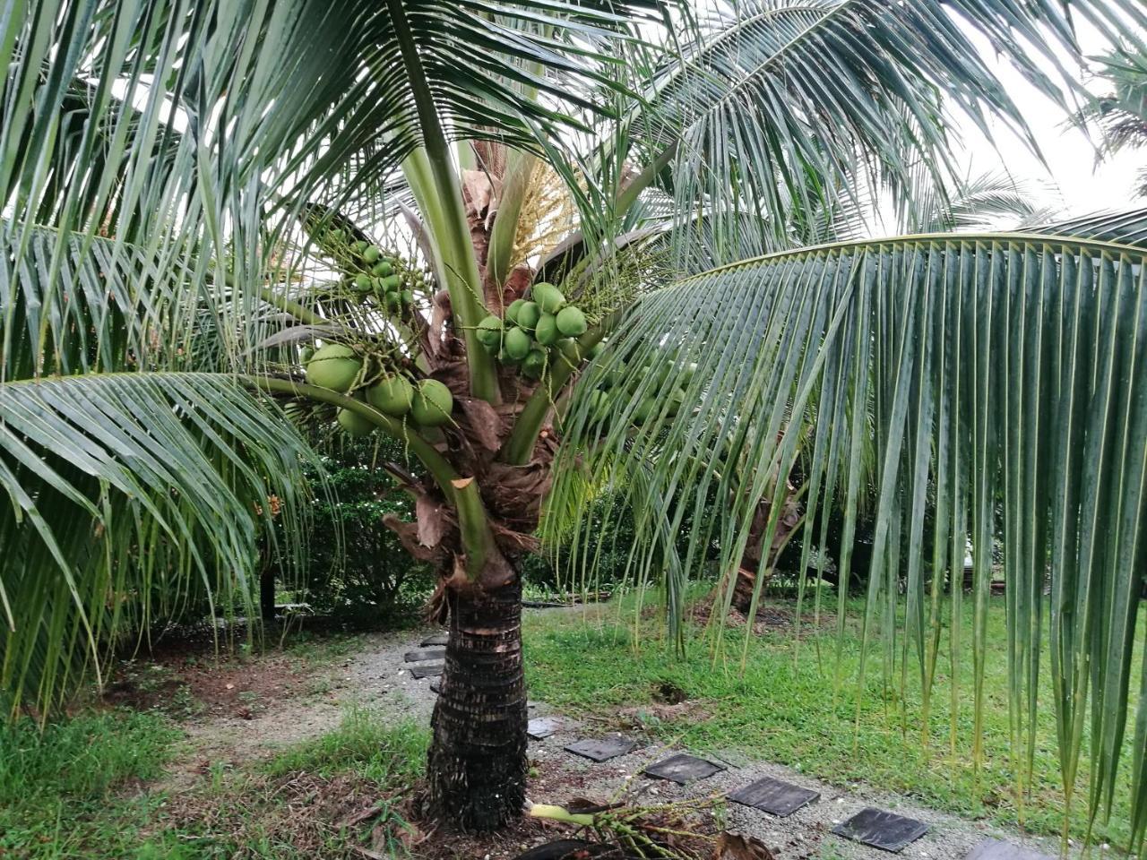 Guesthouse Dragon Place Taiping Luaran gambar